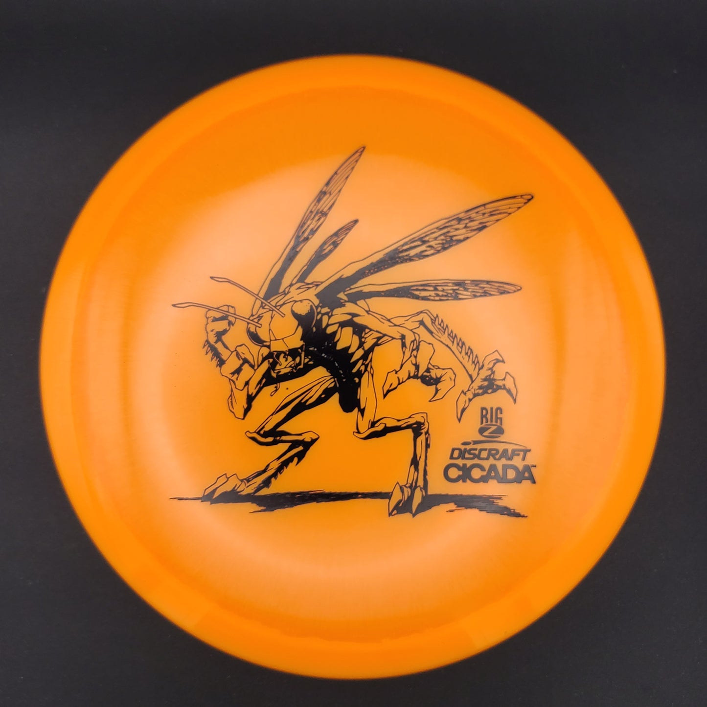 Discraft - Cicada - BigZ