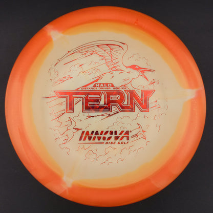 Innova - Tern - Star Halo