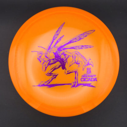 Discraft - Cicada - BigZ